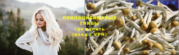 ПСИЛОЦИБИНОВЫЕ ГРИБЫ Корсаков