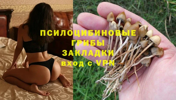 амф Коряжма