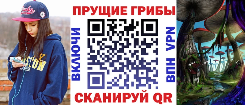 Псилоцибиновые грибы Psilocybe  Купить  Андреаполь 