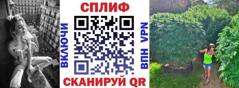 Купить где  Андреаполь  Бошки марихуана ГИДРОПОН 